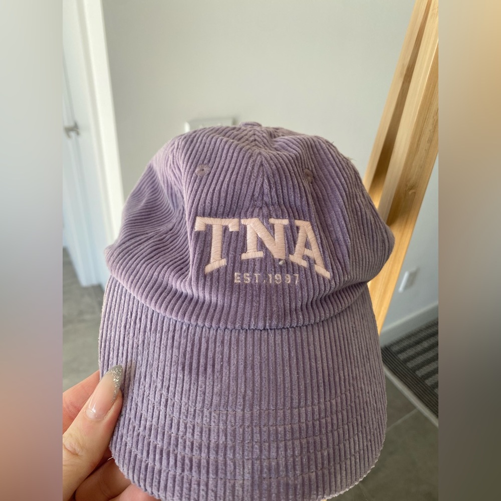 Aritzia TNA velvet baseball cap